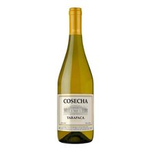 Vinho-Tarapaca-Cosecha-Chardonnay-750ml