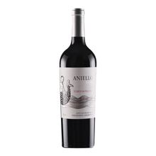 Vinho-Aniello-Soil-Corte-Malbec-750ml