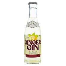 Gin-Tonic-Easy-Booze-Ginger-Garrafa-200ml